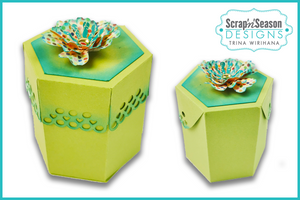 Hexagon Lace Box