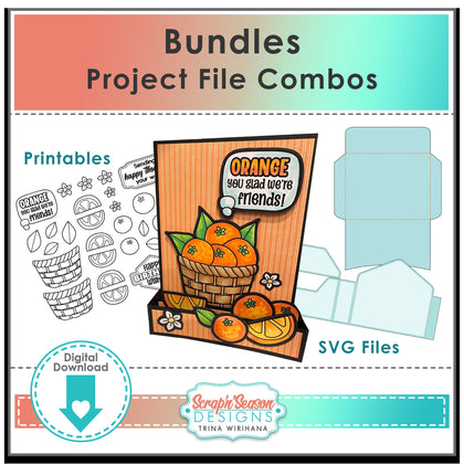 Digital Library - Bundles - Project Files