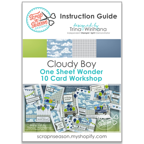 DL Cloudy Boy 10 Card Workshop