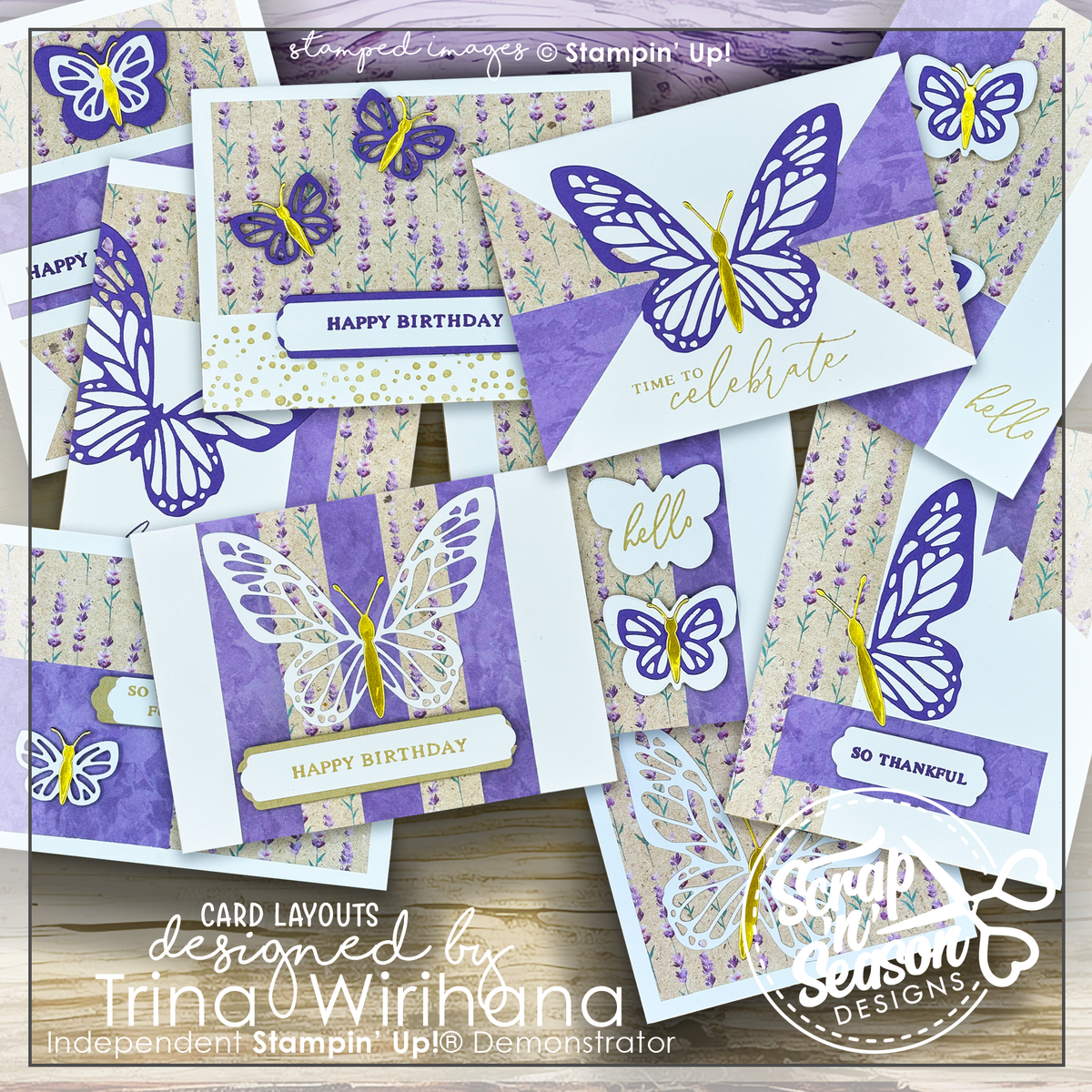 Dl Lavender Dreams 10 Card Workshop Scrapnseason