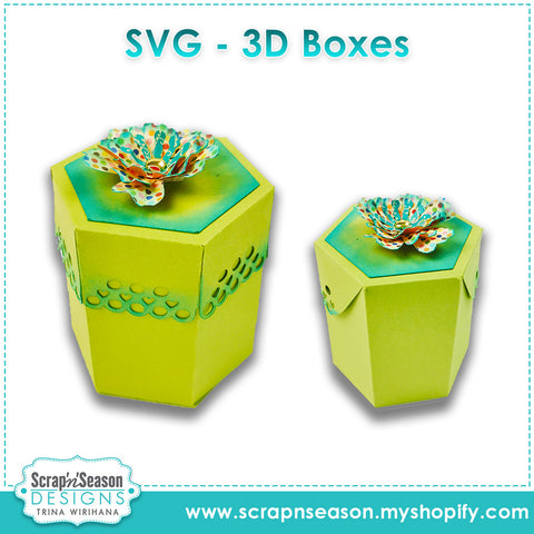 3D Box - Hexagon Lace