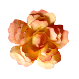 3D FLOWER C