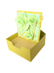 3D Box - Notepad Easel