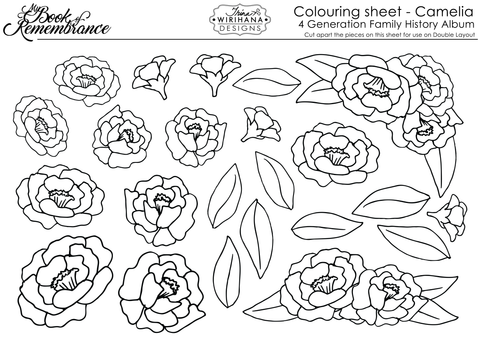 Colouring Sheet - Camelia