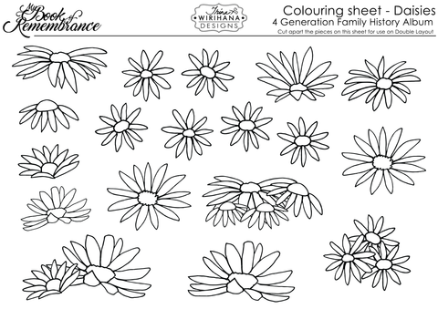 Colouring Sheet - Daisies