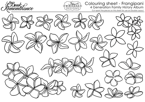 Colouring Sheet - Frangipani