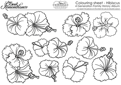 Colouring Sheet - Hibiscus