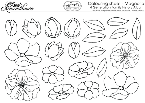 Colouring Sheet - Magnolia