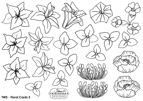 Digital Download - Colouring Sheet - Floral Cards 3
