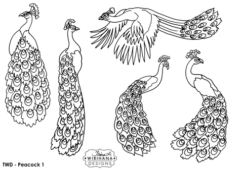 Digital Download - Colouring Sheet - Peacock 1