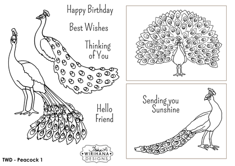 Digital Download - Colouring Sheet - Peacock 2