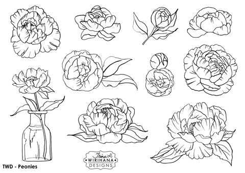 Digital Download - Colouring Sheet - Peonies