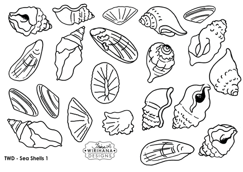 Digital Download - Colouring Sheet - Sea Shells